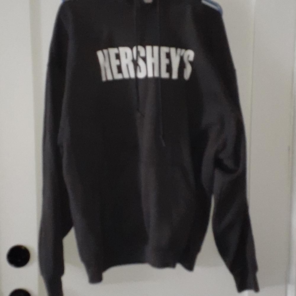 Hershey Park hoodie